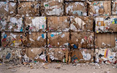 Zero waste: co to i dlaczego jest dobre dla środowiska?