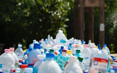 Dlaczego recykling dobrze wpływa na naszą planetę?